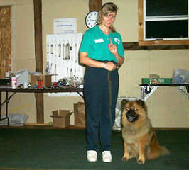 Dog Training - Rochester NY Area