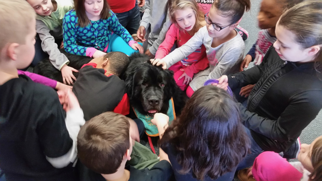 Denali Dog Obedience - Classroom